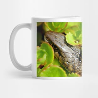 Garter Snake Mug